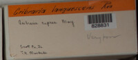 Image Associated With the Occurence